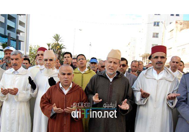 nador2011