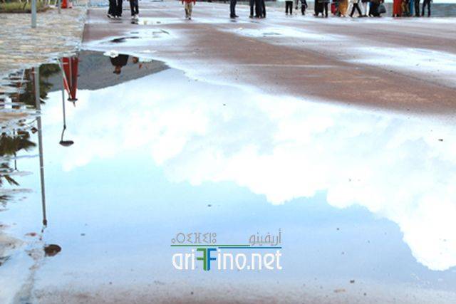 nador2366