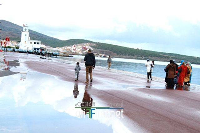 nador2370