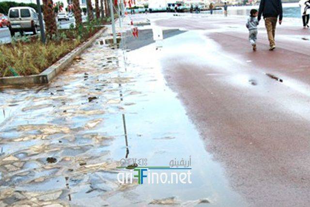 nador2372