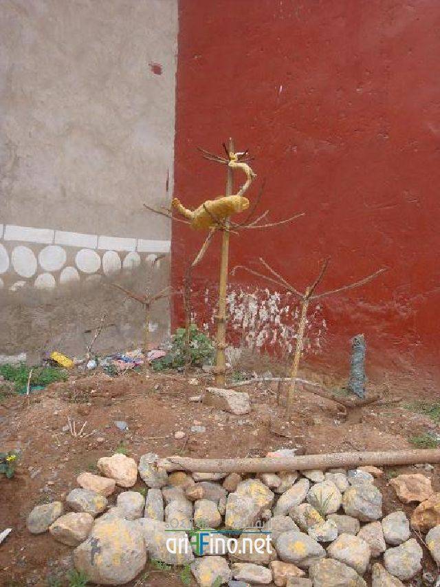 nador0528