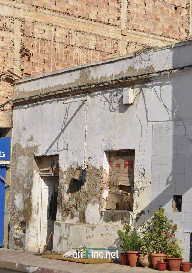 nador0581