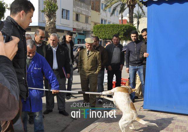 nador0591