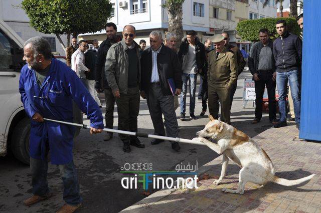 nador0592