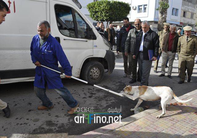 nador0593