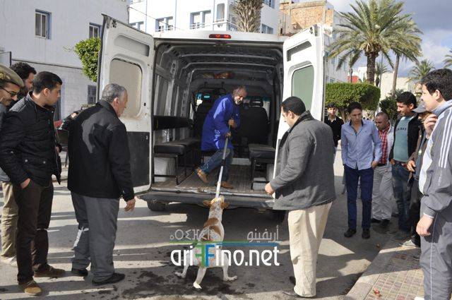 nador0599