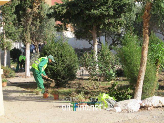 nador0715