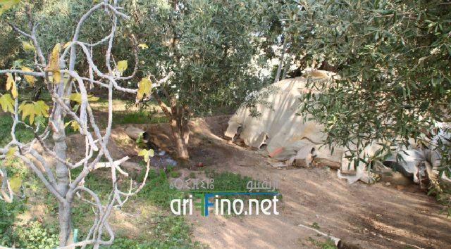nador0819