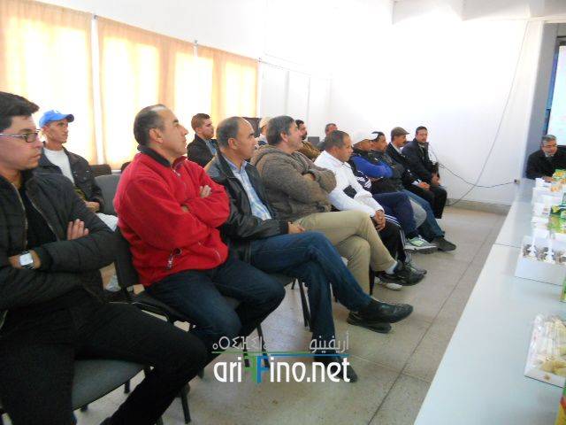 nador2055