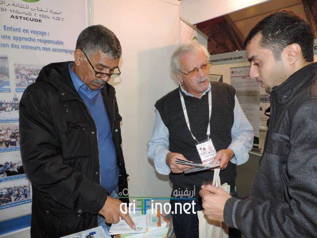 nador2081