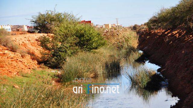 nador2303
