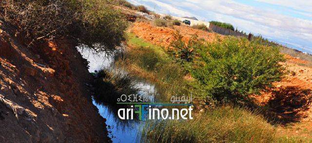 nador2307