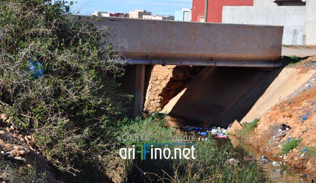 nador2311