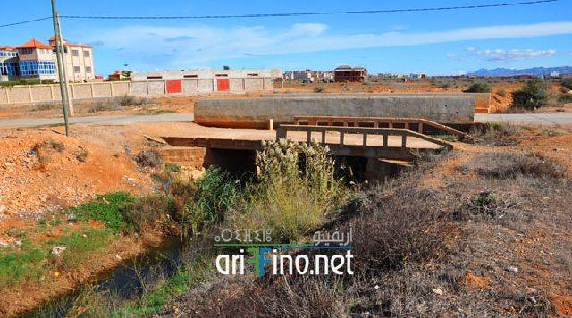nador2313