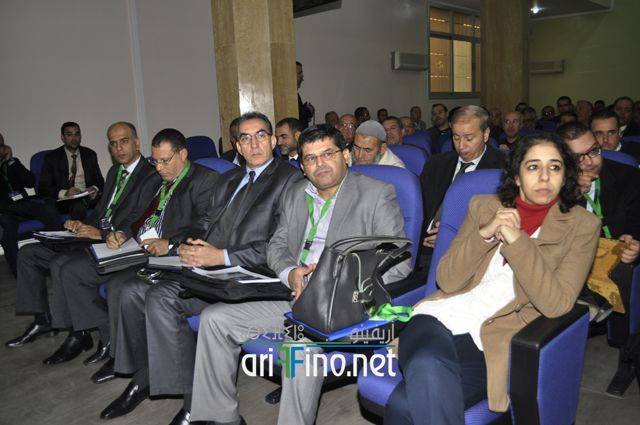 nador2331