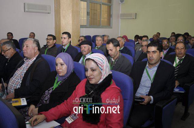 nador2333