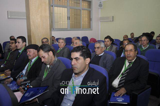 nador2334