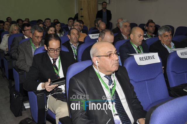 nador2341