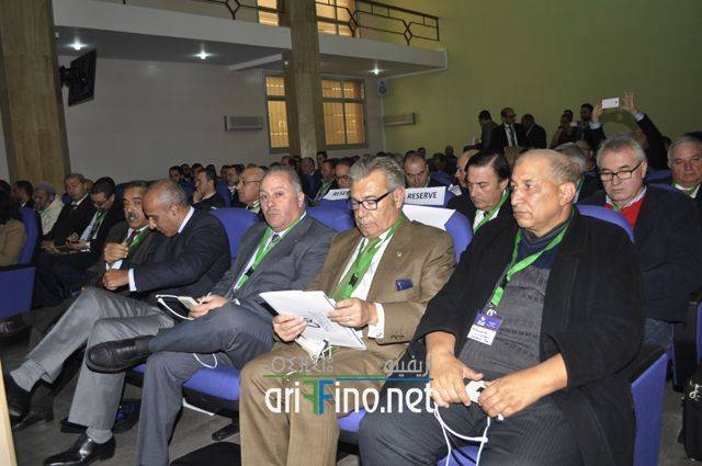 nador2361