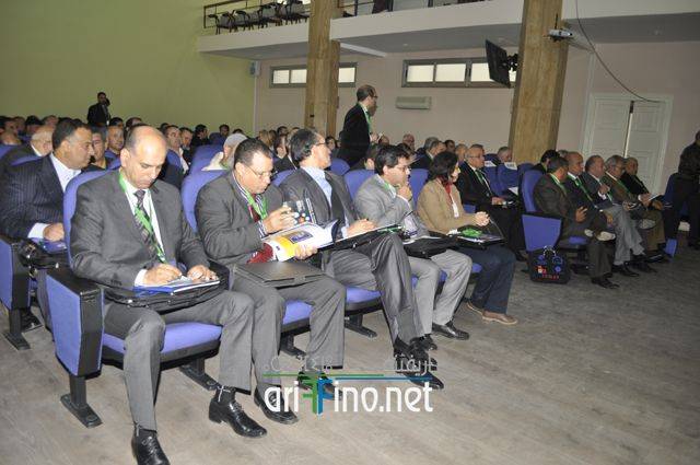 nador2363