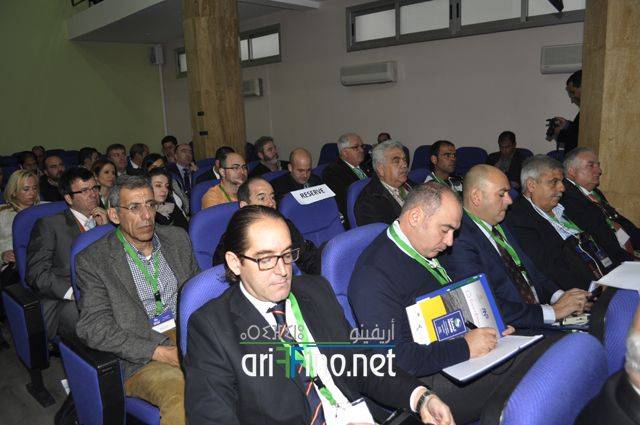 nador2374