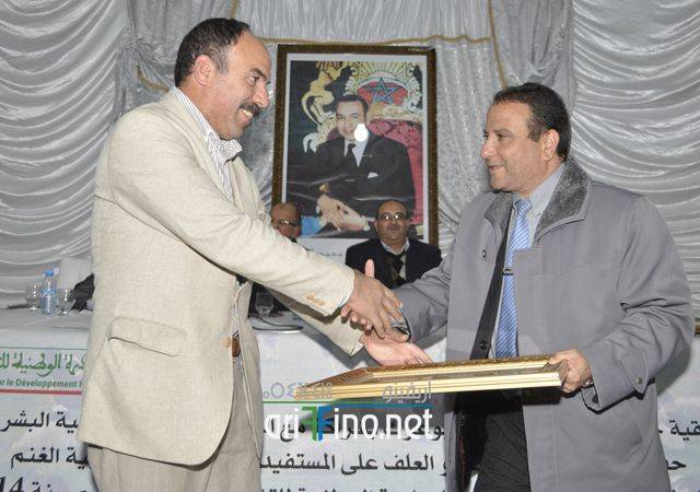 nador2462
