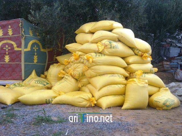 nador2492