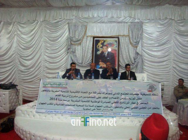 nador2512