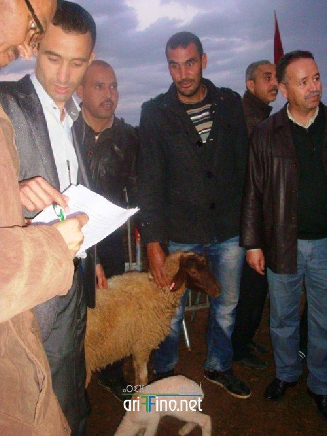 nador2529