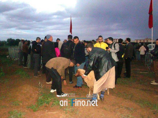 nador2530