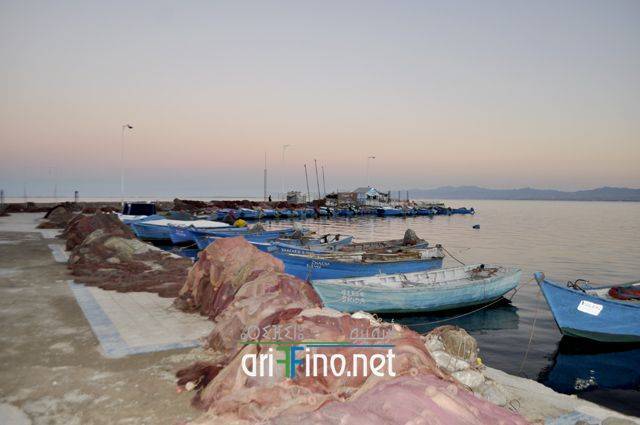 nador2607