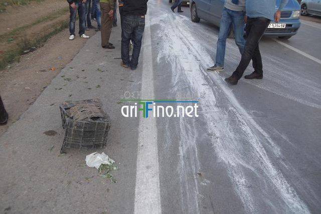 nador2644