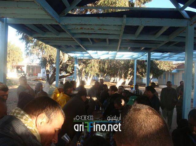 nador2729