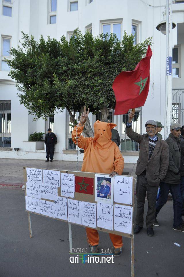 nador2817