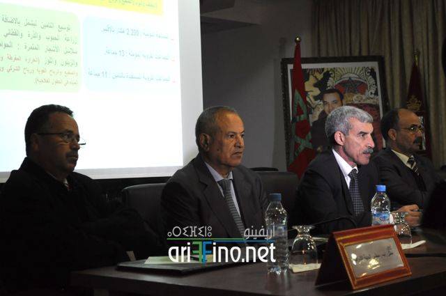 nador2938