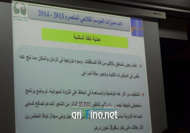 nador2939