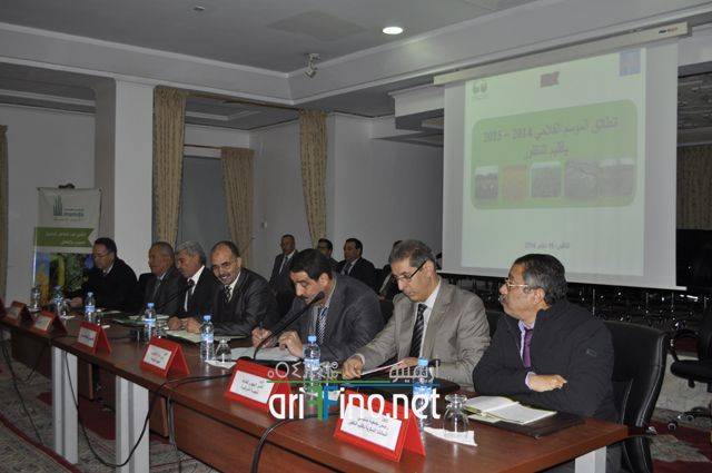 nador2944