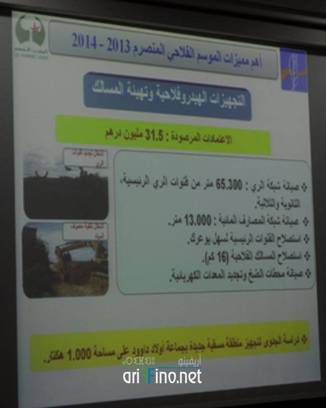nador2949