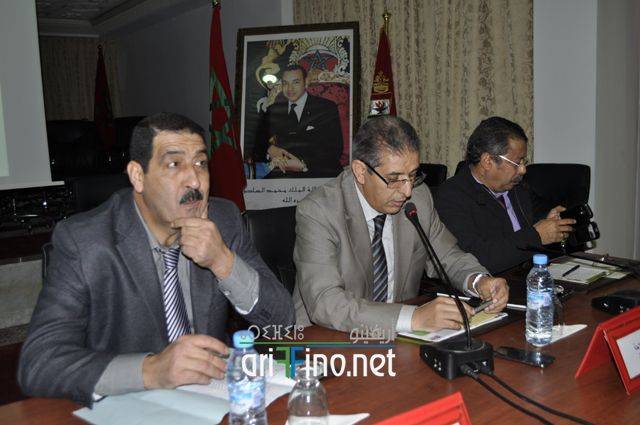 nador2950
