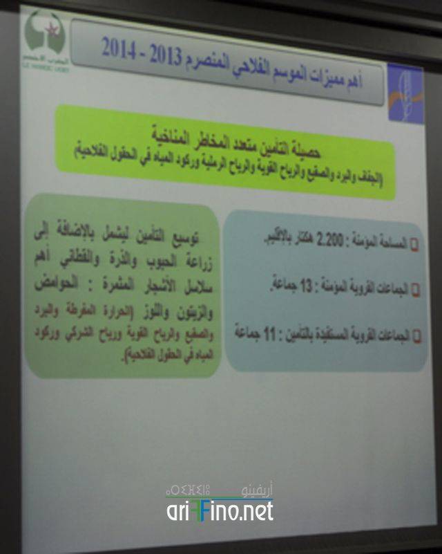 nador2953