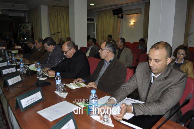 nador2955