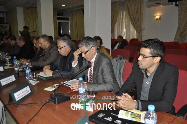 nador2958