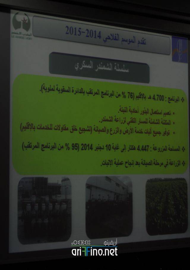 nador2965