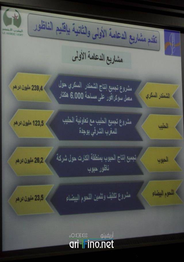 nador2969