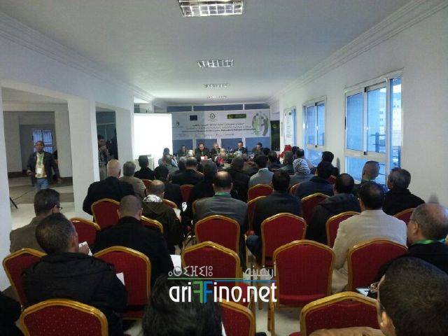 nador3051