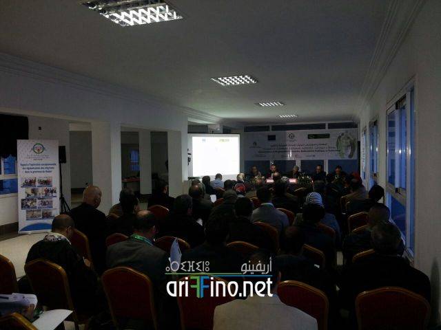 nador3060