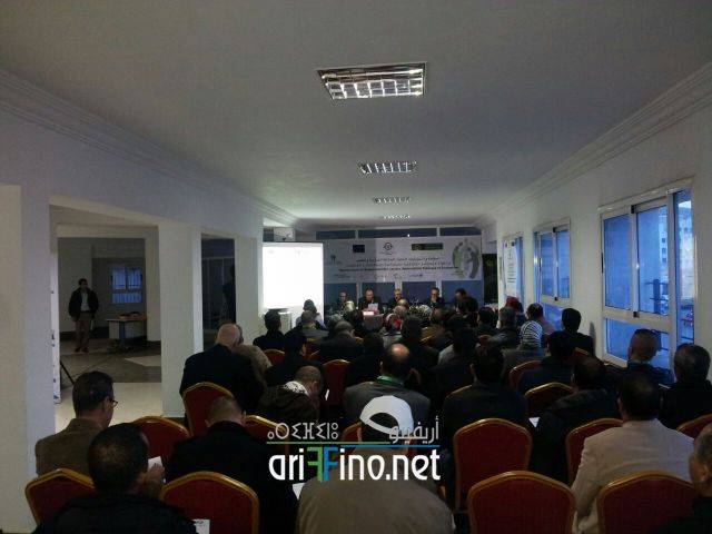 nador3066