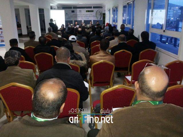 nador3083