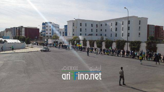 nador3310