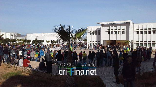 nador3313